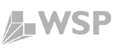 Geo-Plus 客户 WSP