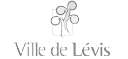 客户:Geo-Plus Ville de Levis